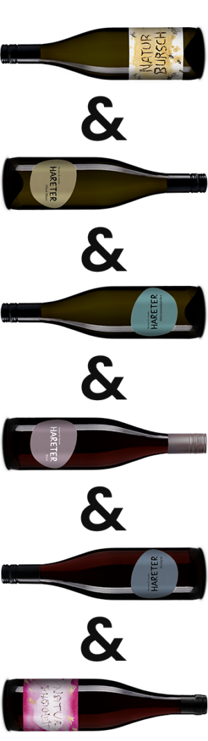 Classic Demeter Wein Set – Eine Auswahl Demeter-zertifizierter, puristischer Weine vom Weingut Hareter.