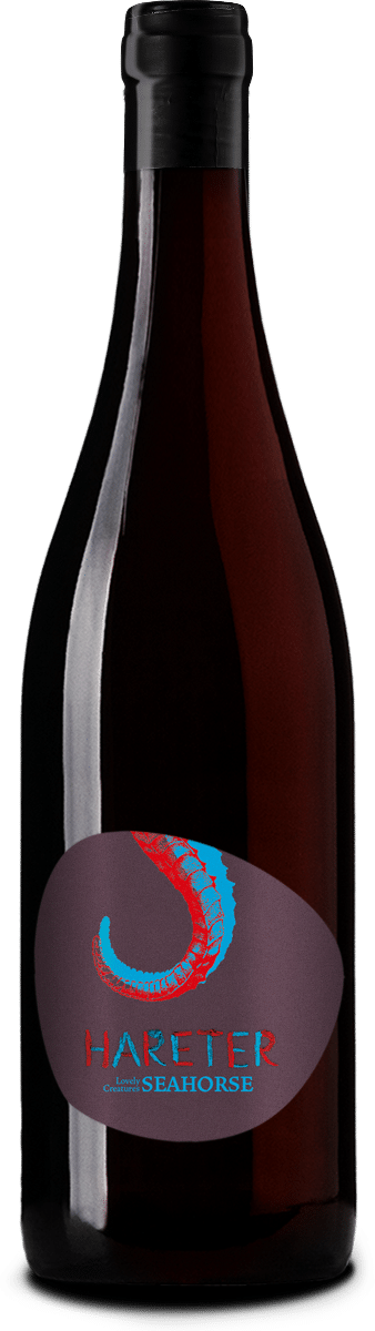 Pinot Noir Seahorse