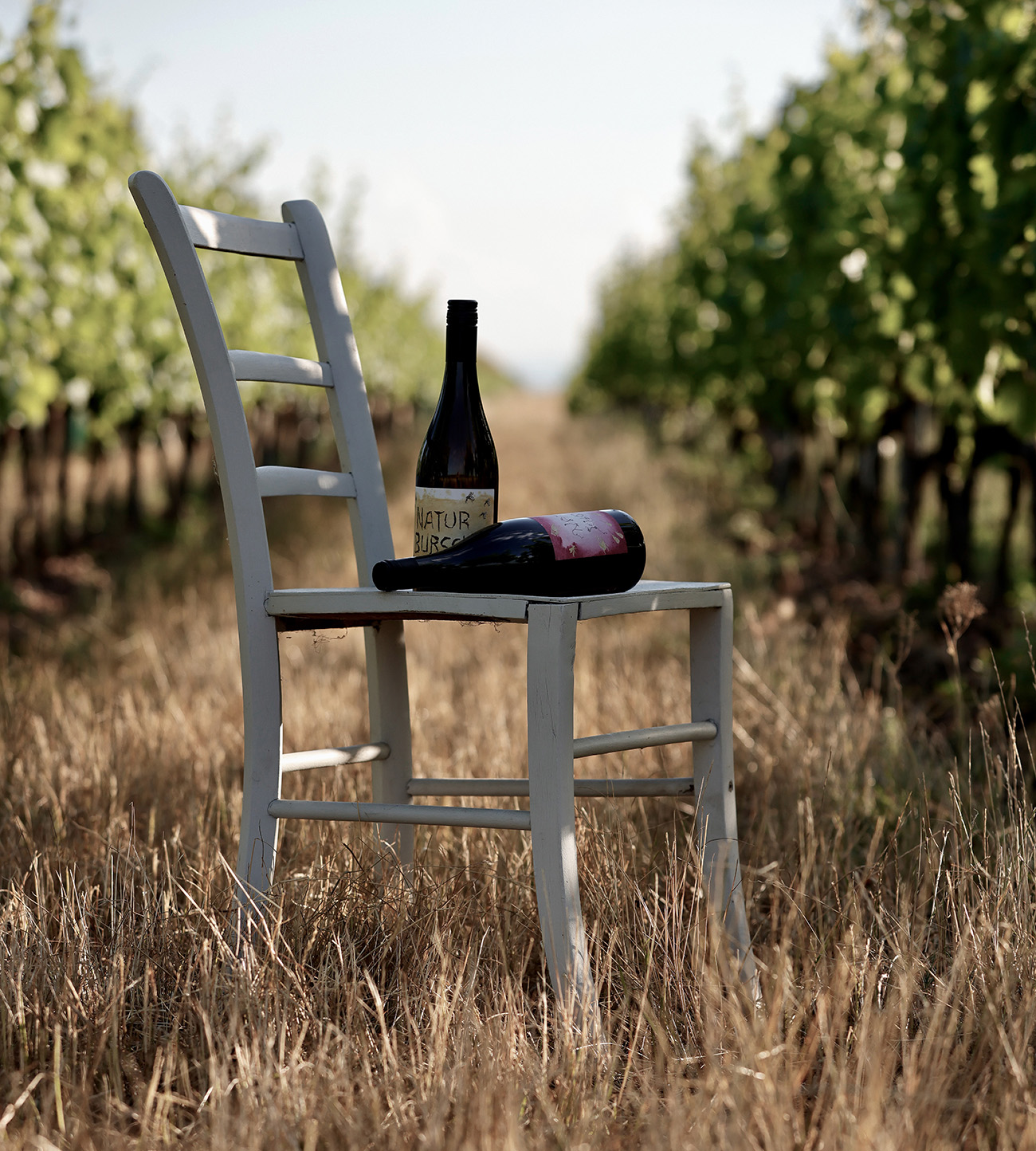 Alter Sessel mit zwei Flaschen histamingeprüften Weins im Weingut Hareter – Histamin und Wein aus den Rieden von Weiden am See.