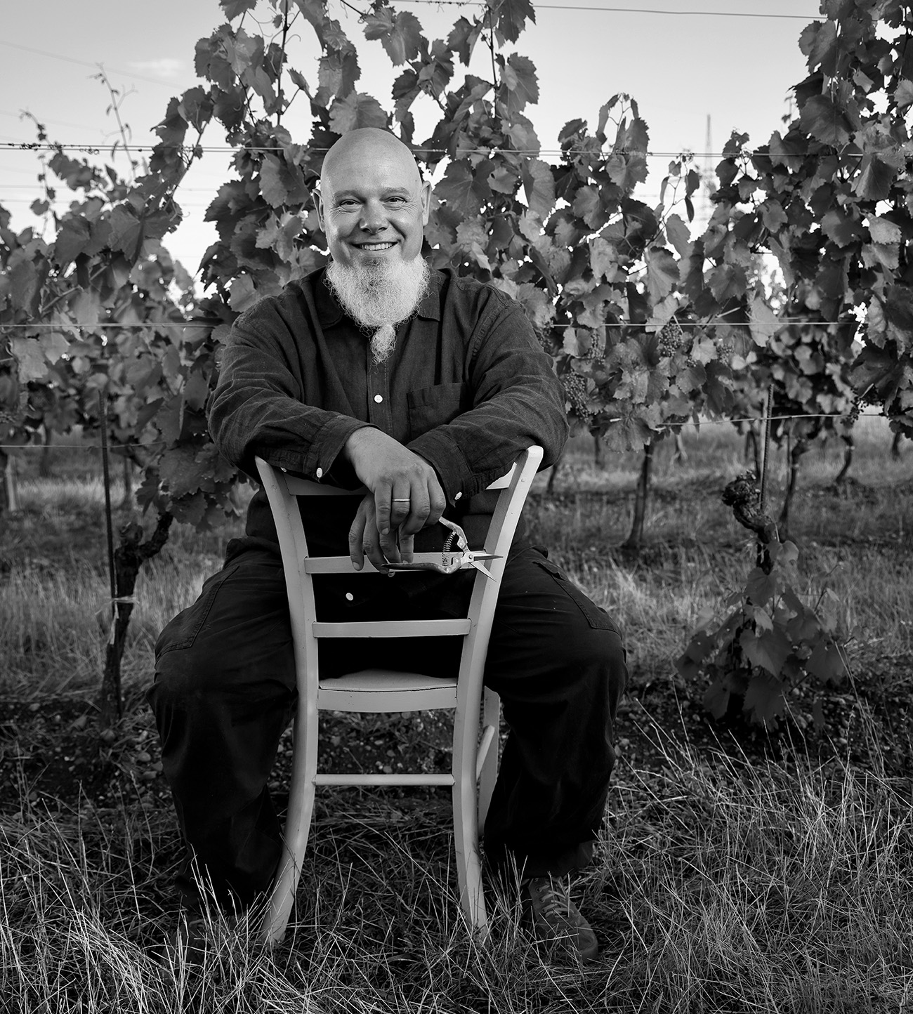 Thomas Hareter sitzt im Weingarten des Weinguts Hareter – Demeter zertifizierter Naturwein aus den Rieden von Weiden am See.