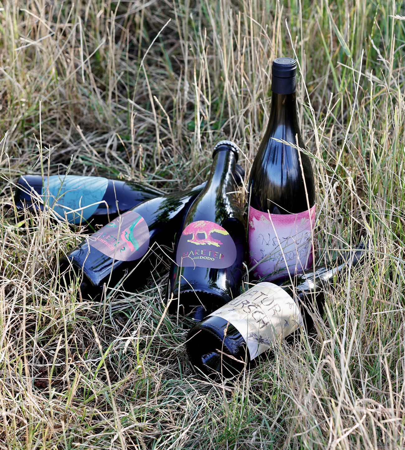 Weinflaschen in der Natur – Demeter Wein vom Weingut Hareter Weinflaschen des Weinguts Hareter auf der Wiese – Demeter Wein aus den Rieden von Weiden am See.