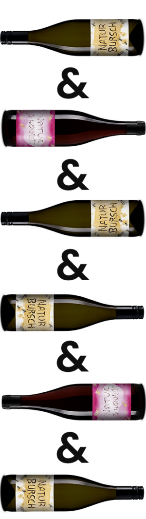 Wein Set