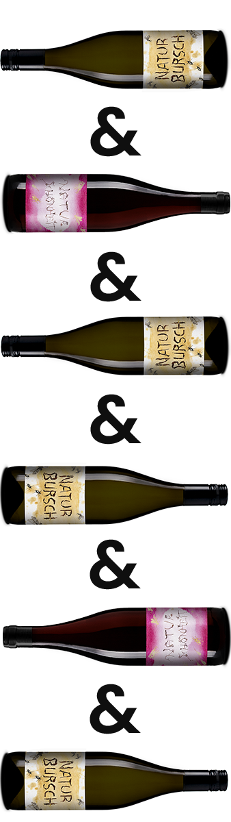 Wein Set