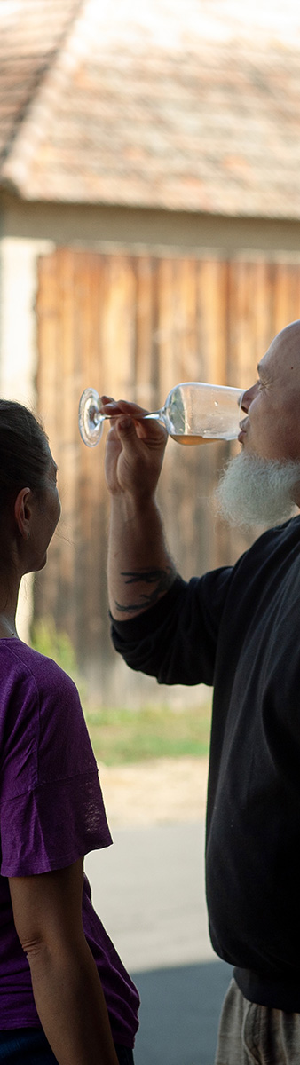 Weinverkostung im biodynamischen Weingut – 8 Weine, hausgemachtes Brot, Olivenöl und Butter genießen.